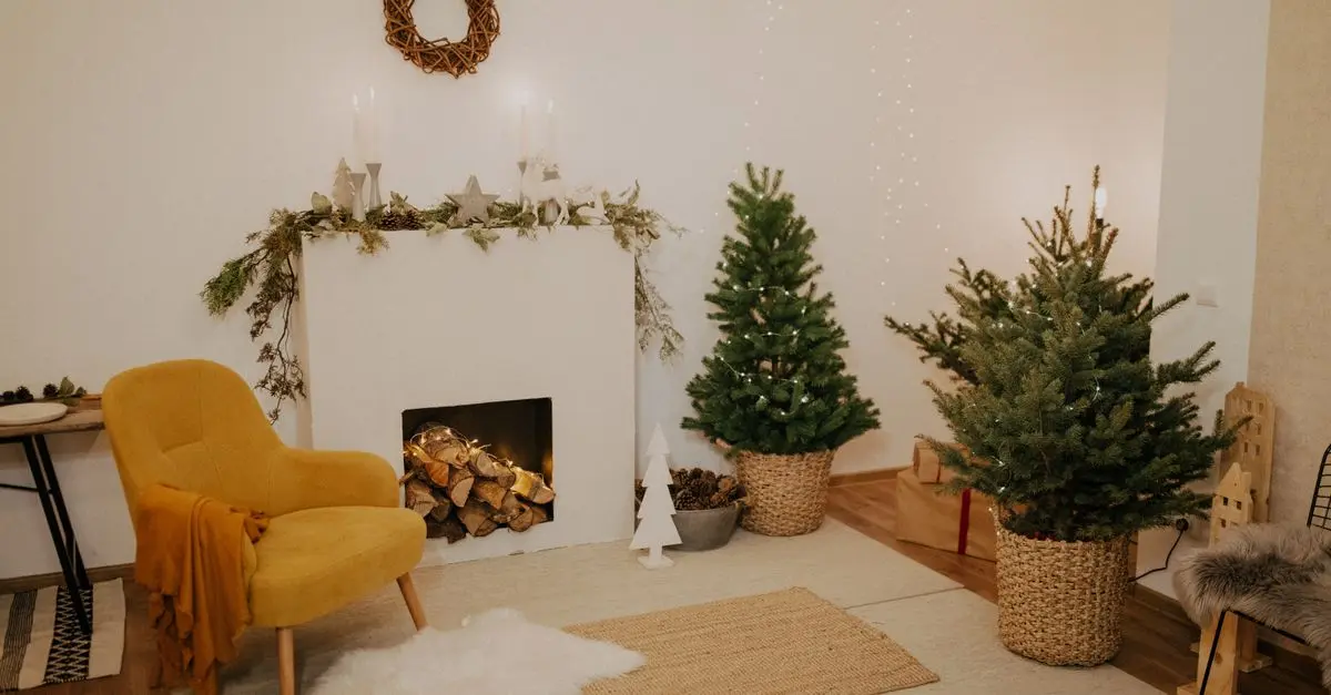 Conseils pour choisir des sapins et lumières écoresponsables