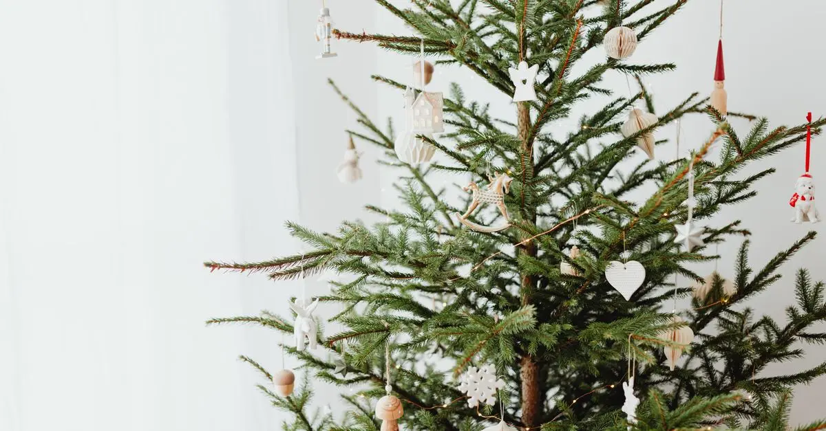 Comment créer un sapin lumineux avec des LED éco-responsables