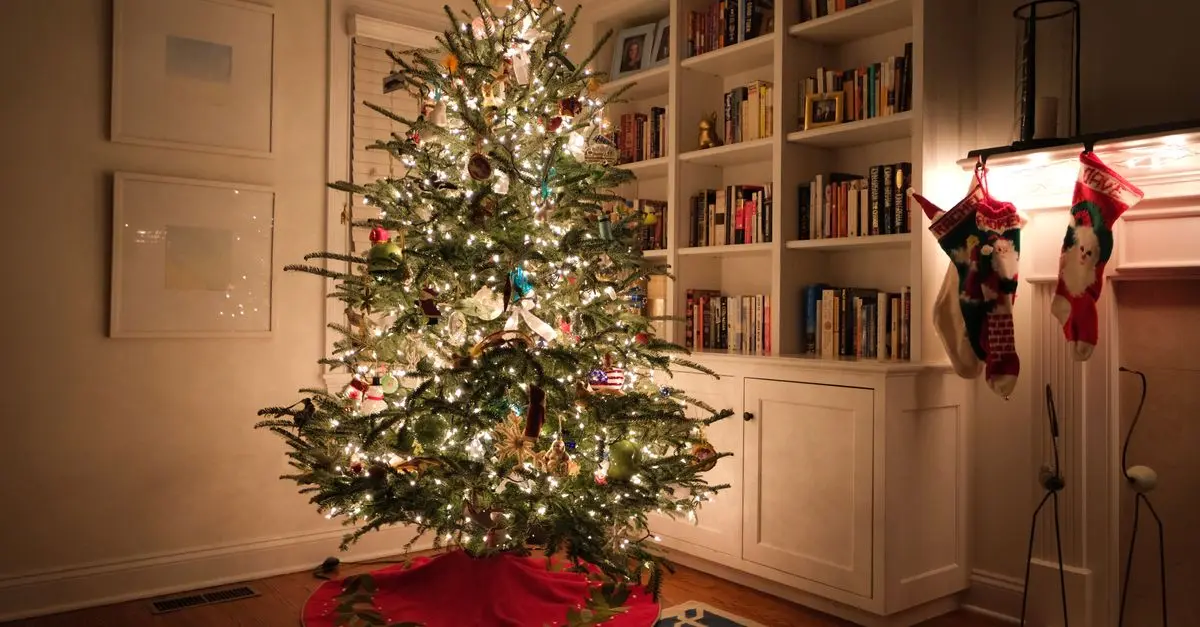 Les meilleures stratégies pour choisir un sapin lumineux