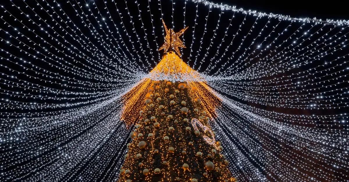 Choisir le meilleur sapin lumineux : Guide d'achat complet