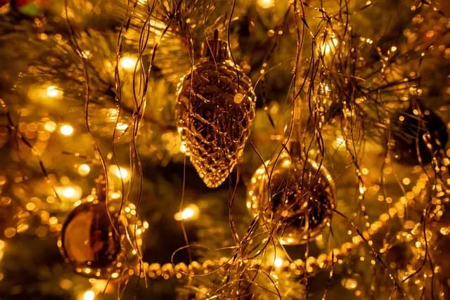 Comment choisir des lumières écoresponsables pour votre sapin