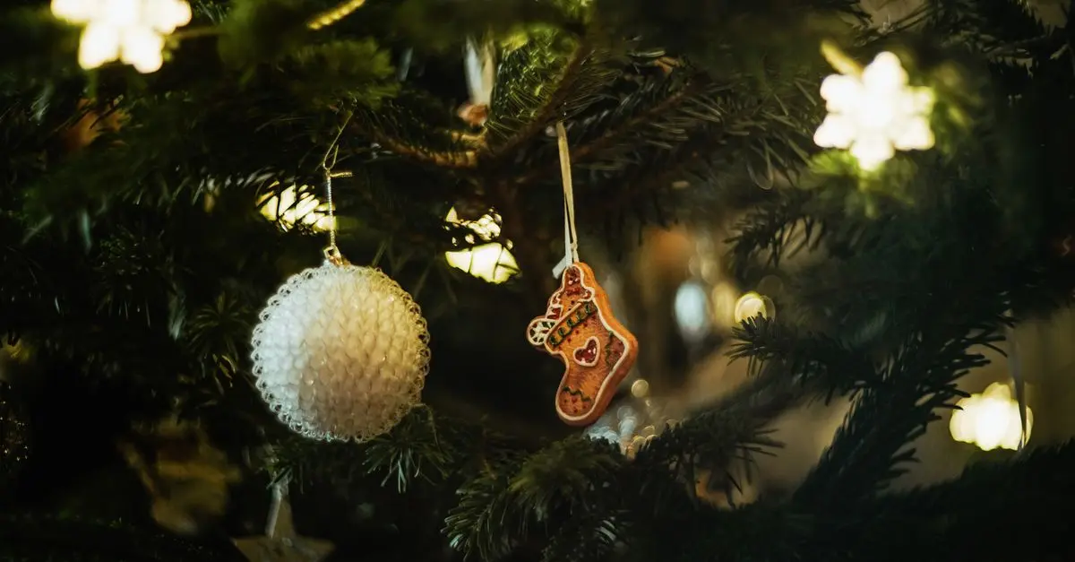 Décoration zéro déchet pour votre sapin de Noël