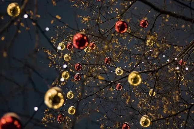 Comment créer une décoration lumineuse écoresponsable pour votre sapin