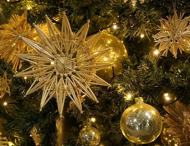 Les Styles de Sapins et Éclairages pour un Noël Magique