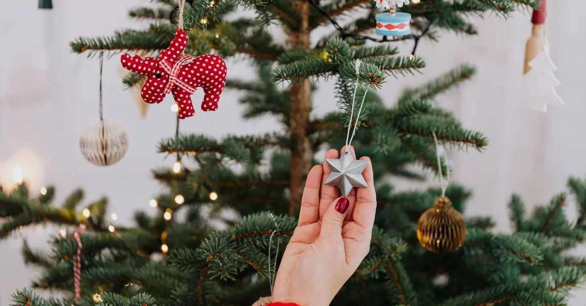 Comment bien choisir les lumières pour illuminer votre sapin
