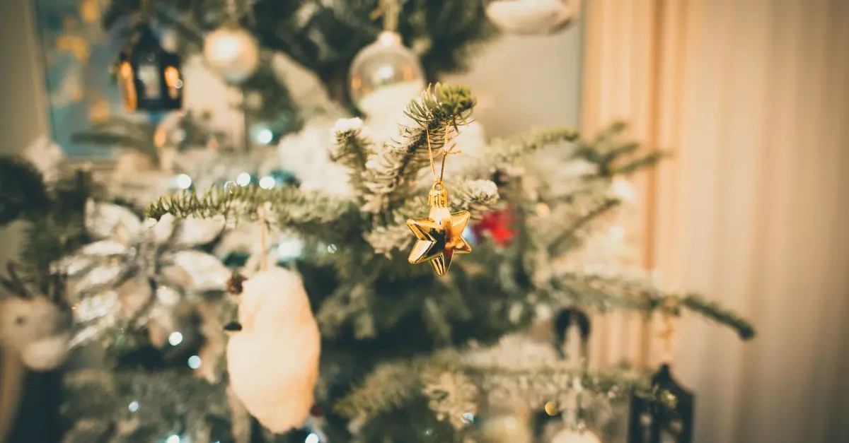 Les meilleures idées pour illuminer votre sapin de Noël
