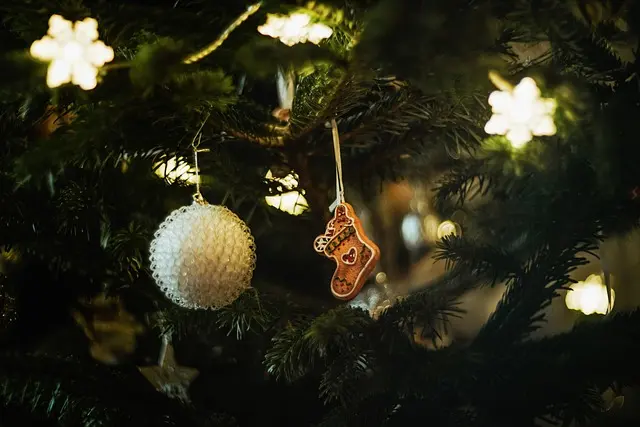 Les meilleures guirlandes lumineuses pour sublimer votre sapin