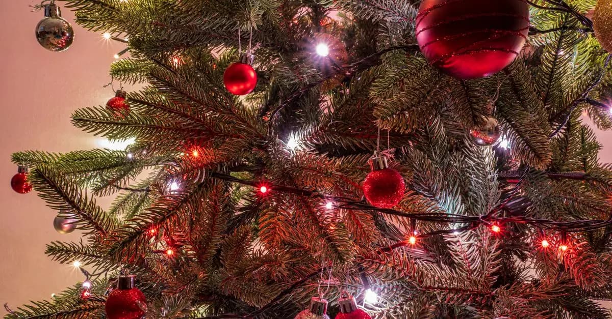 Les erreurs courantes à éviter lors du choix de votre sapin