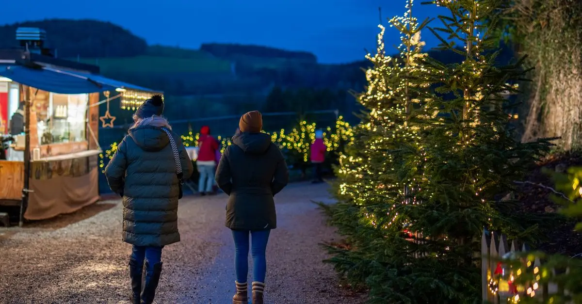 Réparer vos décorations lumineuses : Guide pratique