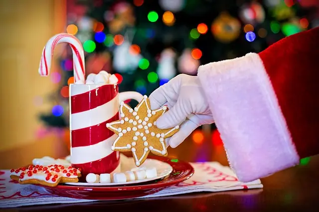 Les Meilleures Stratégies pour Illuminer Votre Sapin de Noël