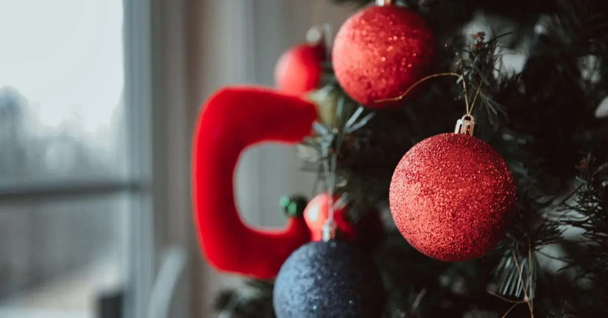 Choisir entre un sapin en pot ou coupé