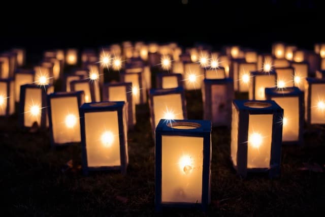 Choisir les bonnes lumières pour un sapin de Noël éclatant