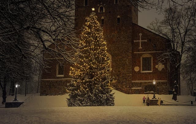 Comment bien préparer votre sapin lumineux pour Noël