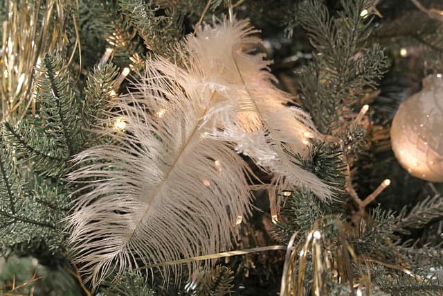 Les 10 meilleures façons d'illuminer votre sapin de Noël