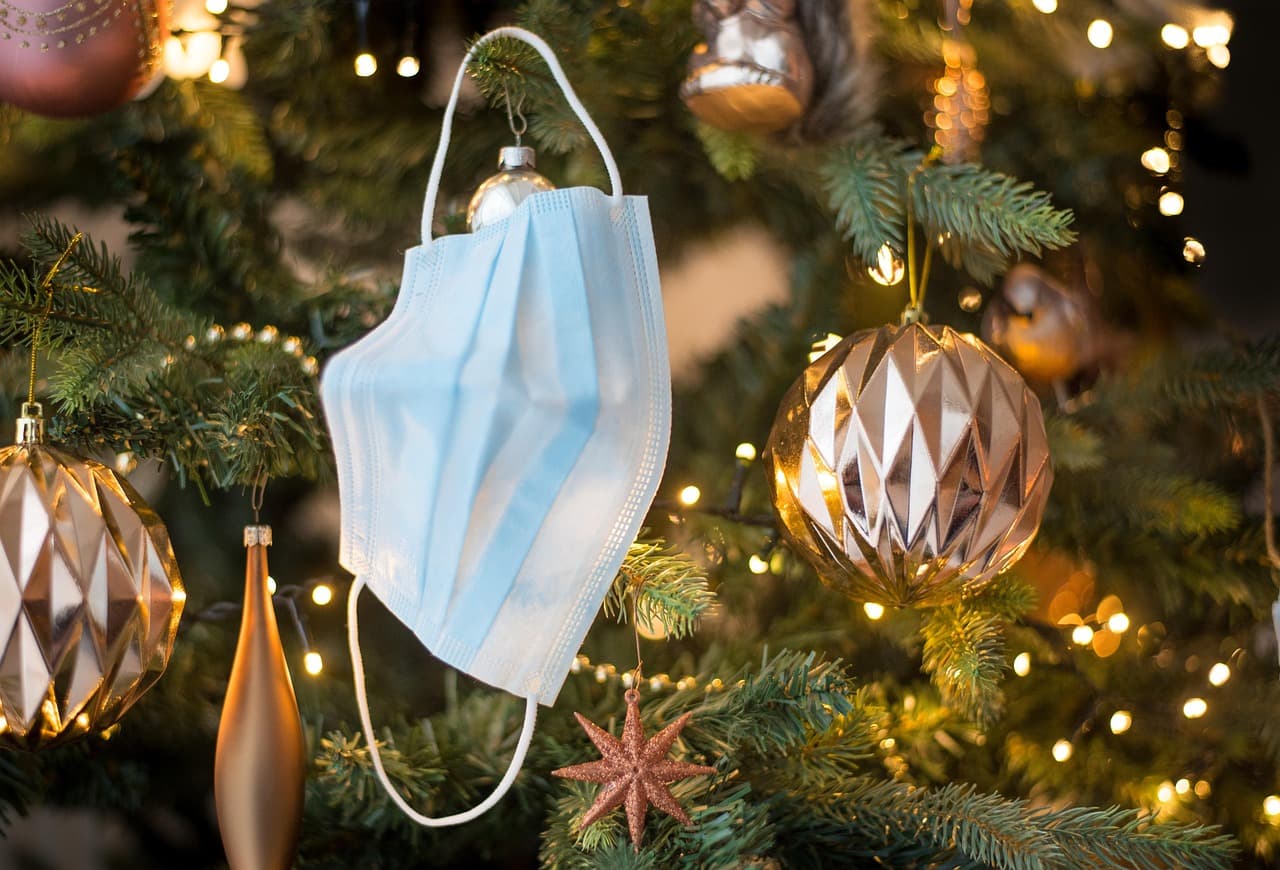 Choisir les meilleurs sapins et lumières pour un Noël magique